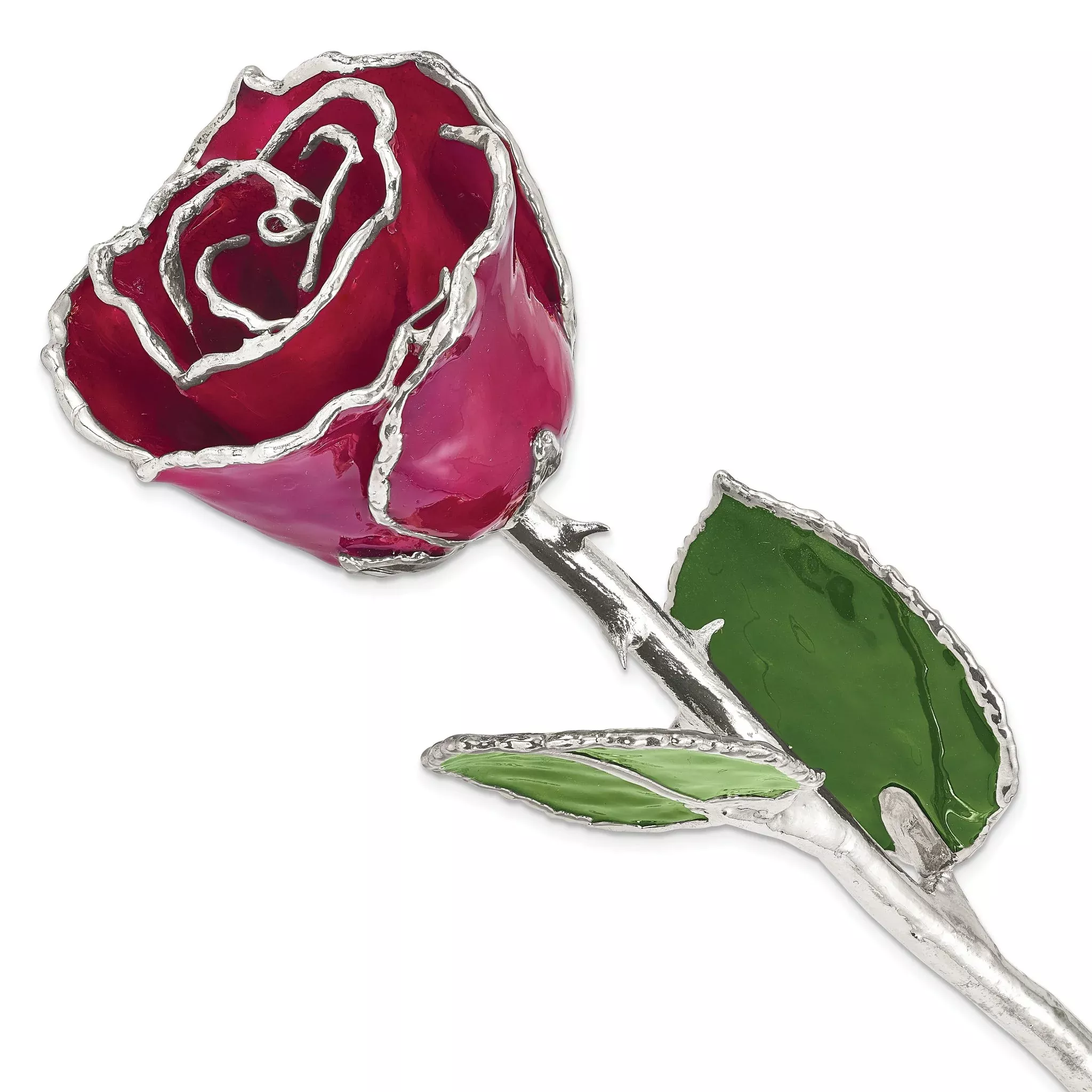 Burgundy Lacquer Dipped Silver Trimmed Real Rose