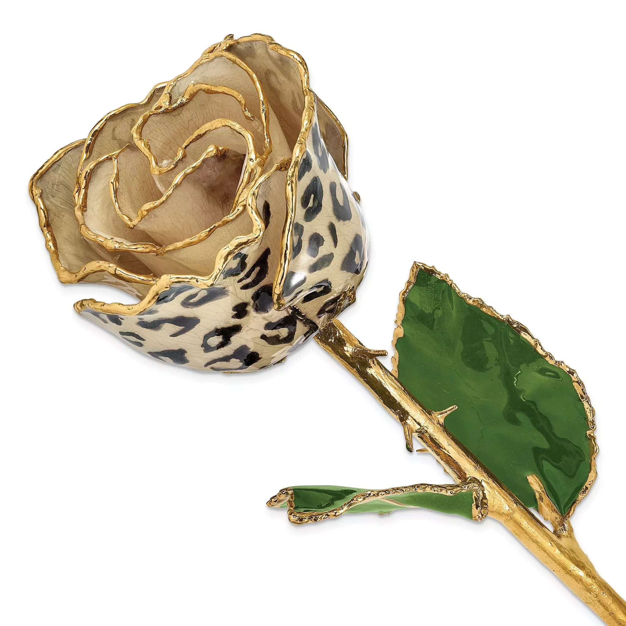 Lacquer Dipped 24k Gold Trimmed Cream/Black Leopard Real Rose