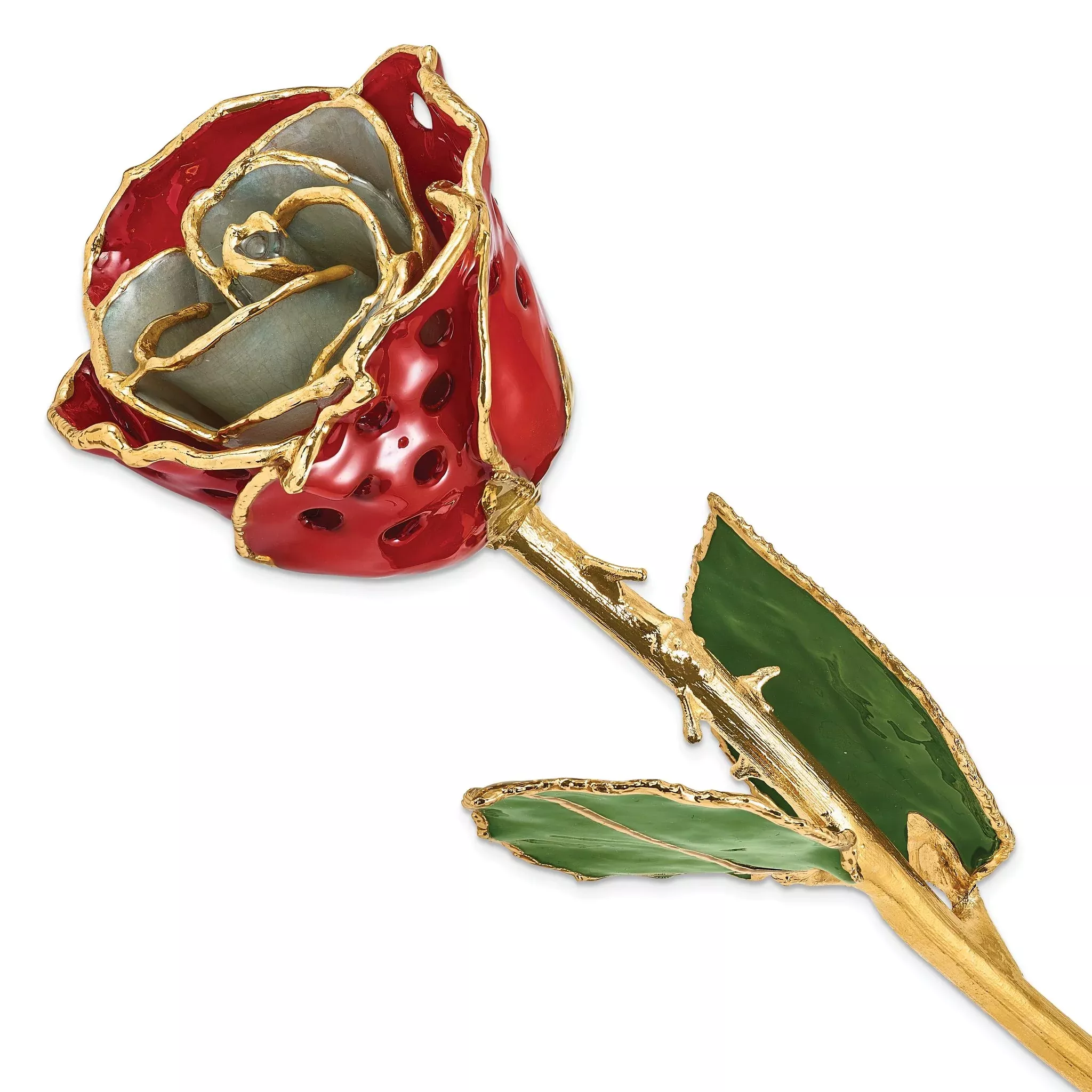 Lacquer Dipped Gold Trimmed White/Red with Holes Real Rose